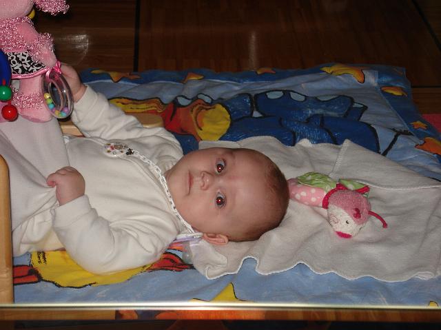 DSC01855.JPG