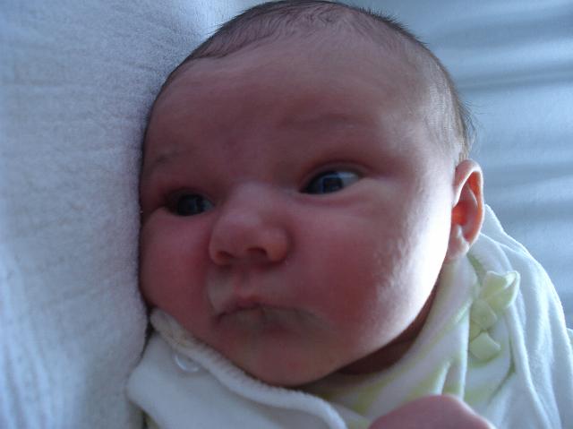 DSC01557.JPG