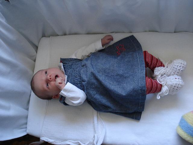 DSC01597.JPG
