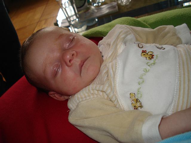 DSC01638.JPG