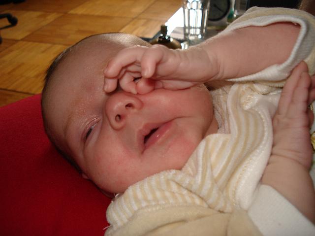 DSC01641.JPG