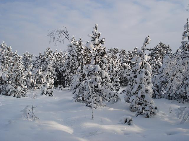 DSC01986.JPG