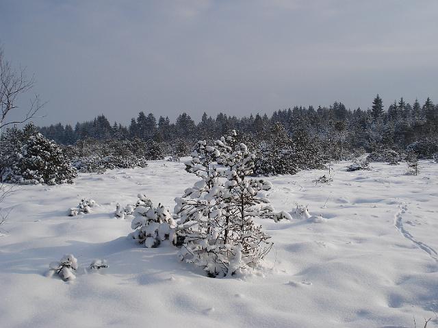 DSC01992.JPG