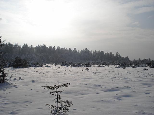 DSC01993.JPG