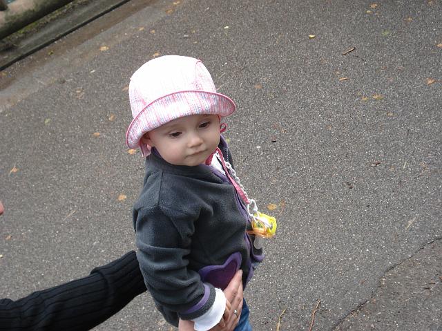 DSC02243.JPG