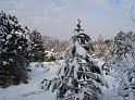 DSC01987