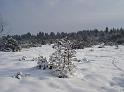 DSC01992
