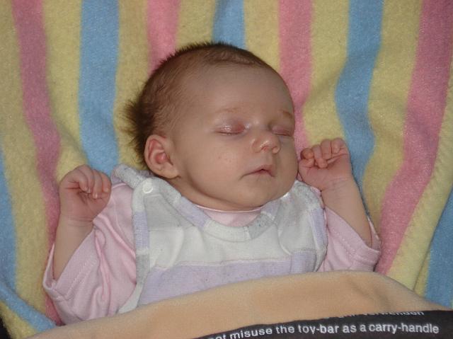 DSC01646.JPG