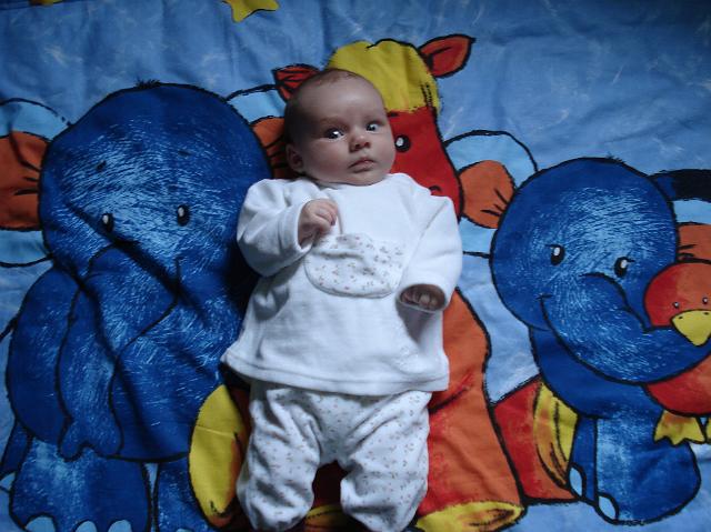 DSC01660.JPG