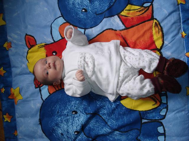 DSC01662.JPG