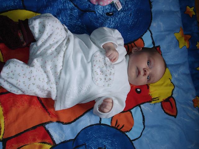 DSC01667.JPG