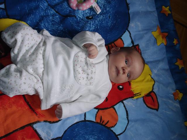 DSC01668.JPG