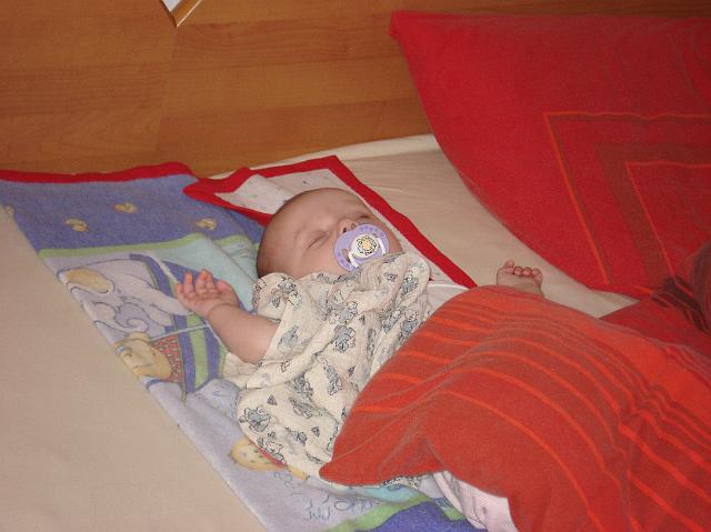 DSC01795.JPG