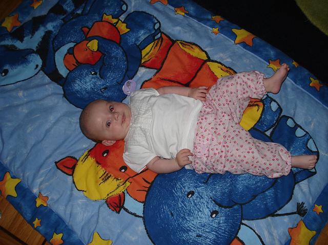 DSC01805.JPG