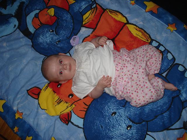 DSC01806.JPG